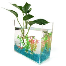 Custom Design Acrylic Aquarium Fish Tank with Plants
